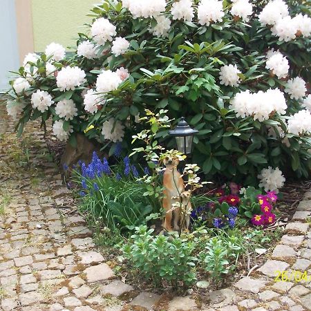 Giesis Wohlfuehloase Lägenhet Döbeln Exteriör bild