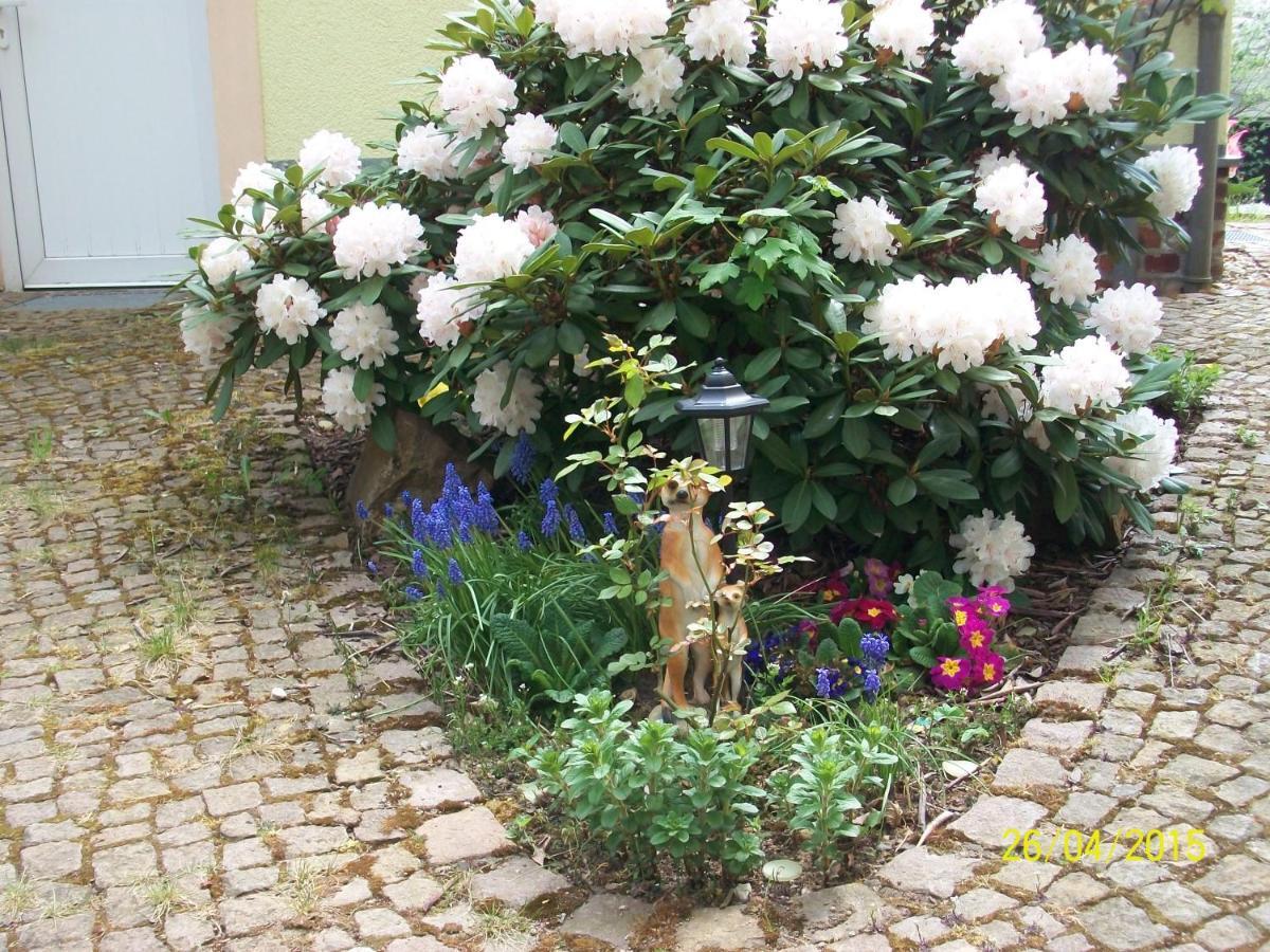 Giesis Wohlfuehloase Lägenhet Döbeln Exteriör bild
