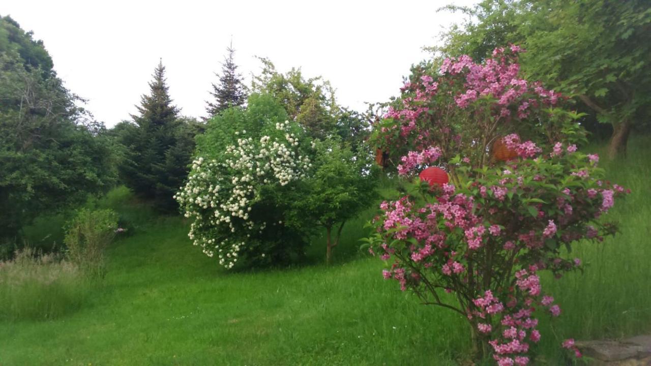 Giesis Wohlfuehloase Lägenhet Döbeln Exteriör bild